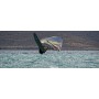 Point-7 AC-X 4G zero14 Slalom No-Cam